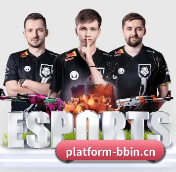 BBIN体育 APP 界面